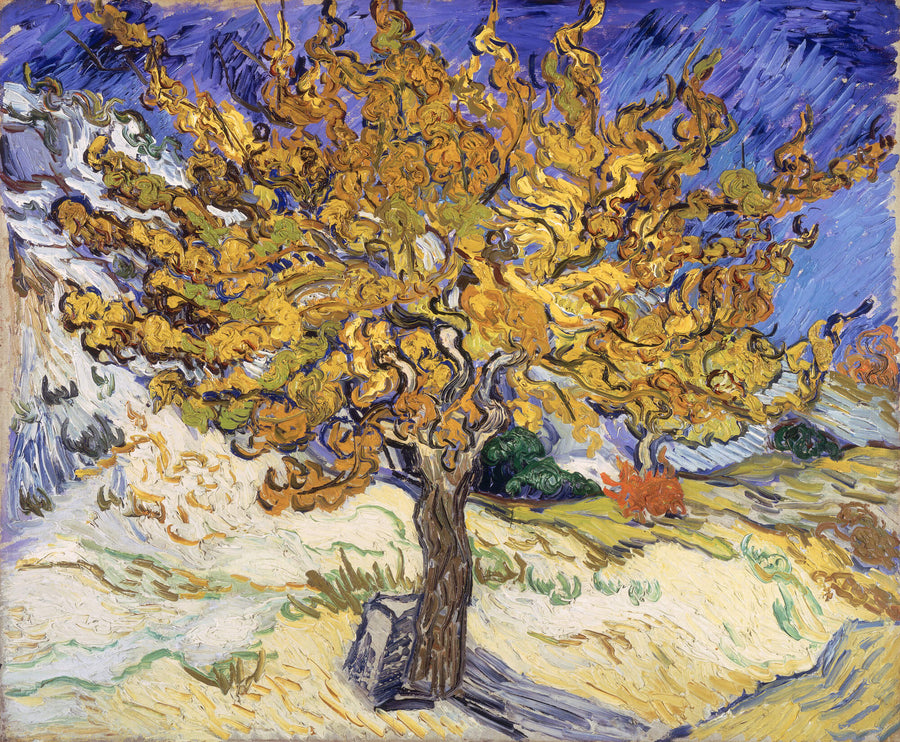 Der Maulbeerbaum - Vincent Van Gogh