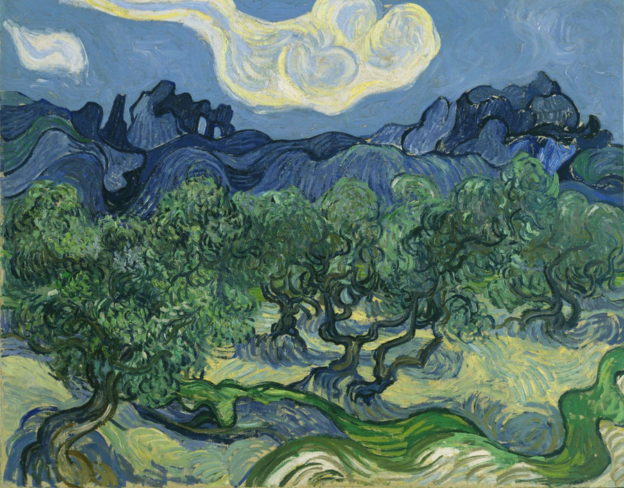 Olivenbäume mit den Alpilles im Hintergrund - Vincent Van Gogh