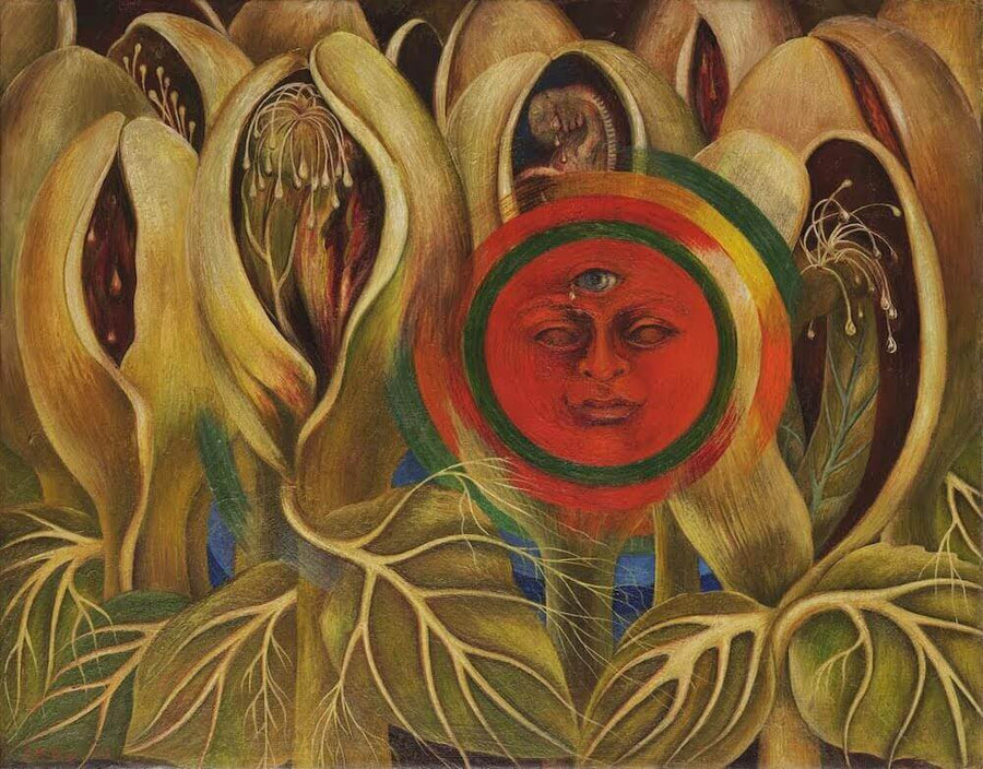 Sun and Life - Frida Kahlo