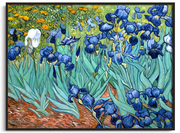 Die Iris - Vincent Van Gogh