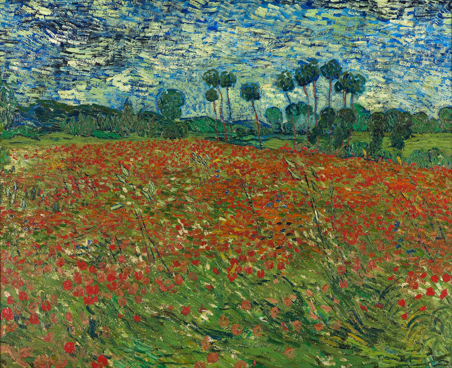 Mohnblumenfelder - Vincent Van Gogh