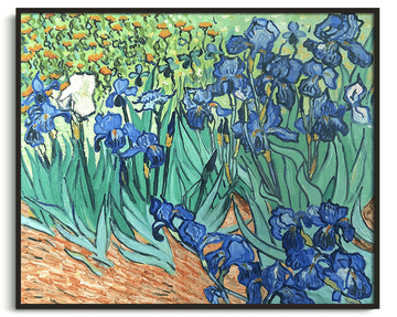 Die Iris - Vincent Van Gogh